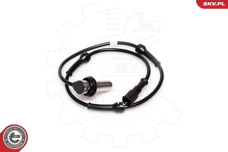 SKV 06SKV173