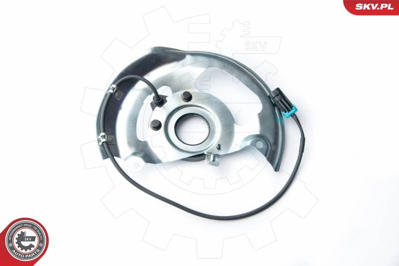 SKV 06SKV247