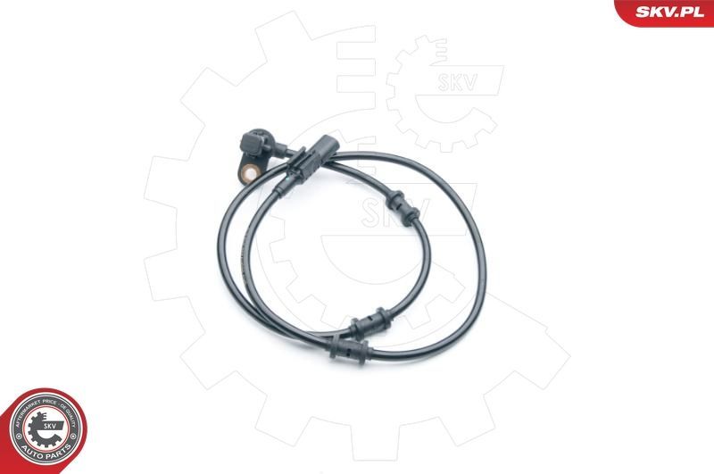 SKV 06SKV295