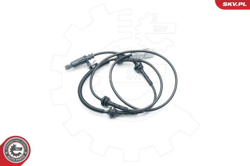 SKV 06SKV319