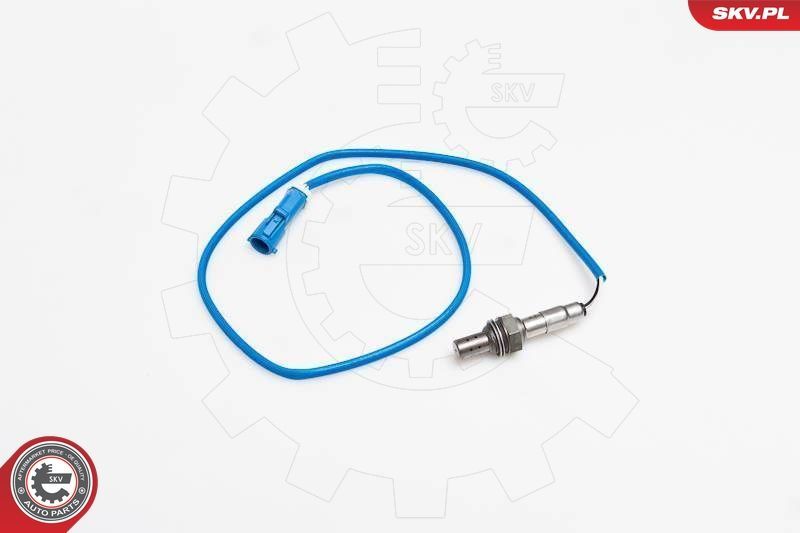 SKV 09SKV003