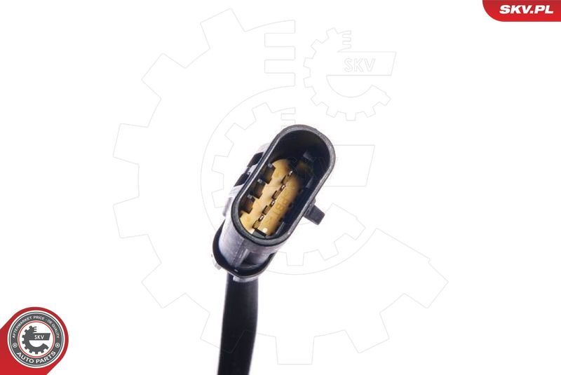 SKV 09SKV036