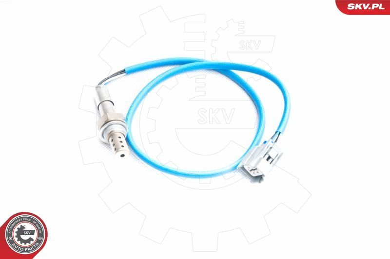 SKV 09SKV094