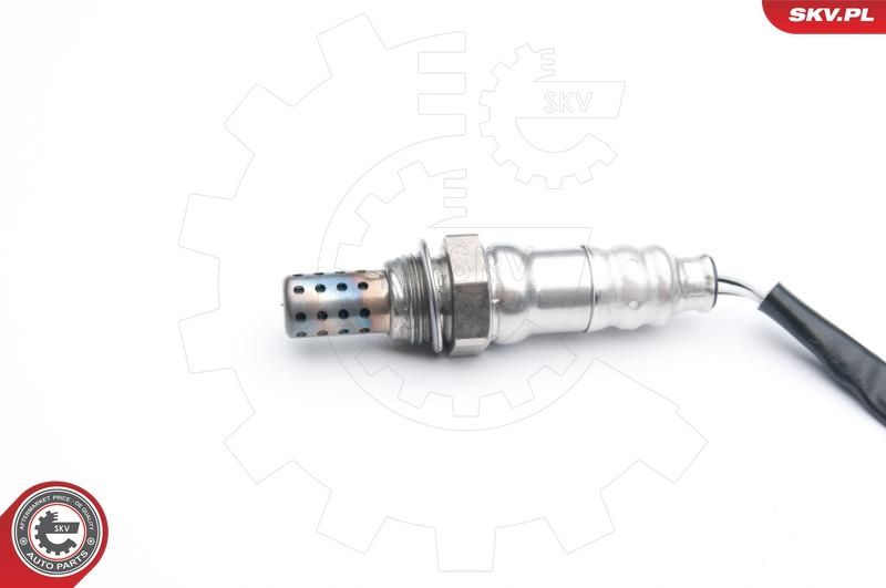 SKV 09SKV568