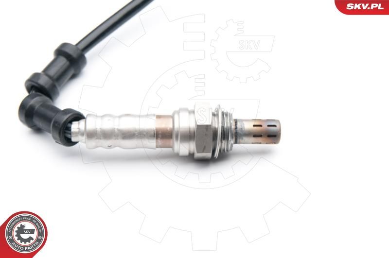 SKV 09SKV649