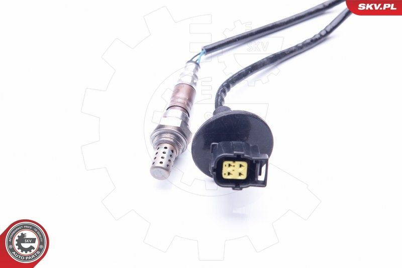 SKV 09SKV718