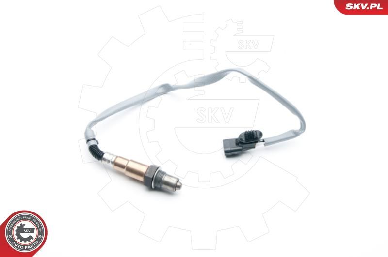 SKV 09SKV737