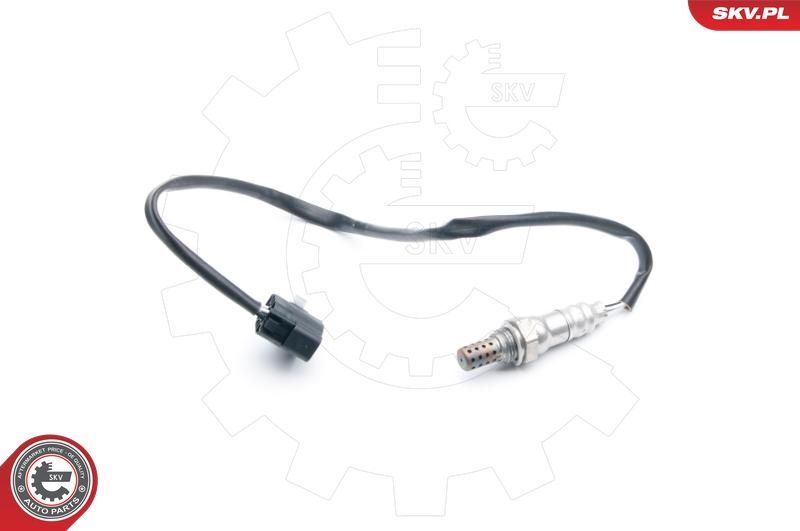SKV 09SKV745
