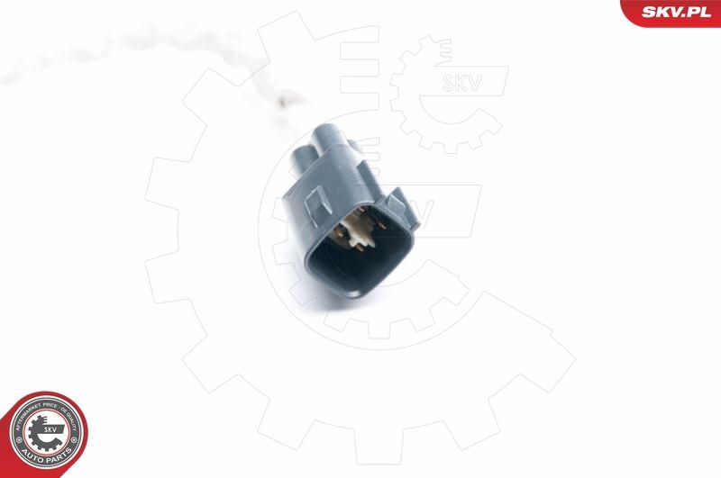 SKV 09SKV993