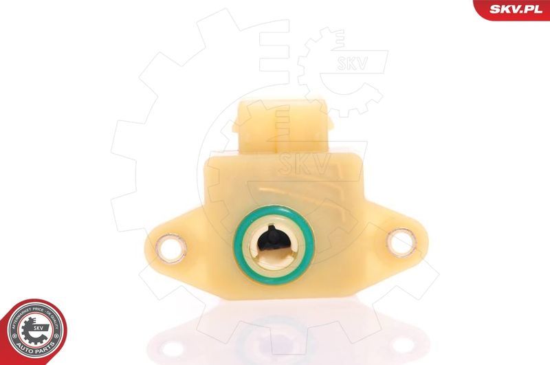 SKV 17SKV009