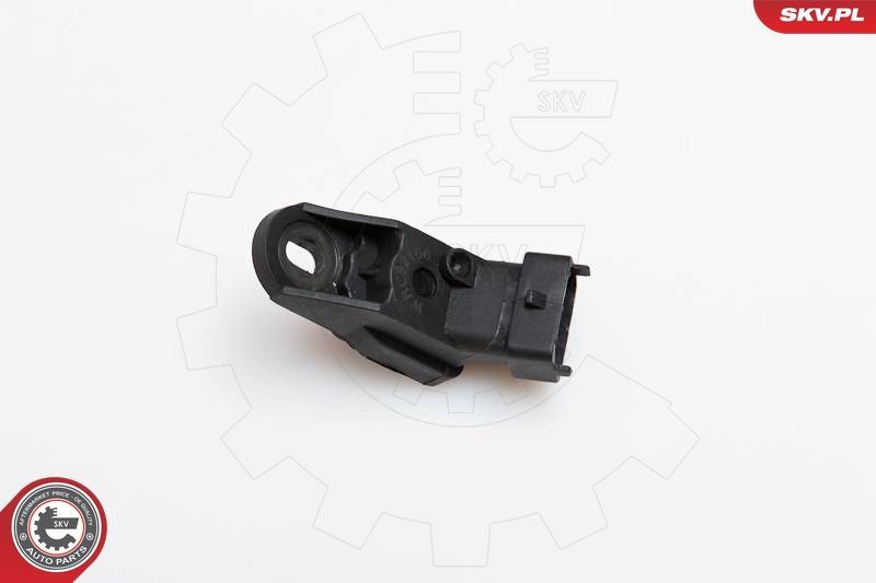 SKV 17SKV119