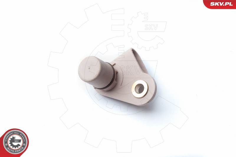 SKV 17SKV246