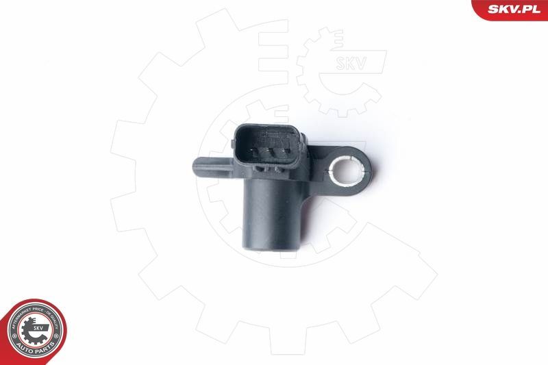 SKV 17SKV251