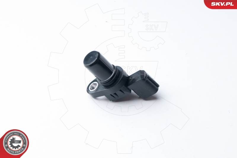 SKV 17SKV256