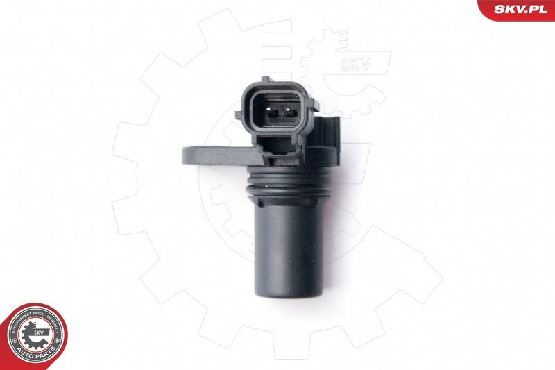 SKV 17SKV274