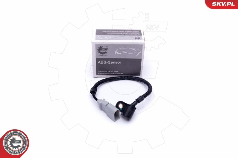 SKV 17SKV486