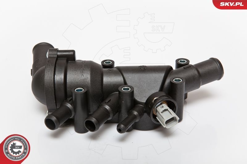 SKV 20SKV017