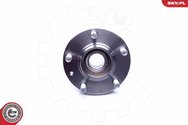 SKV 29SKV199