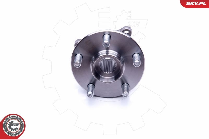 SKV 29SKV255