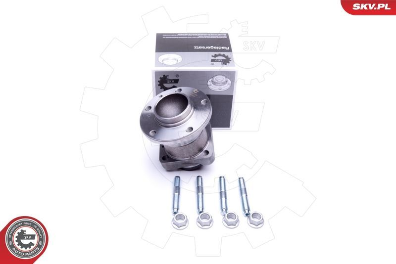 SKV 29SKV302