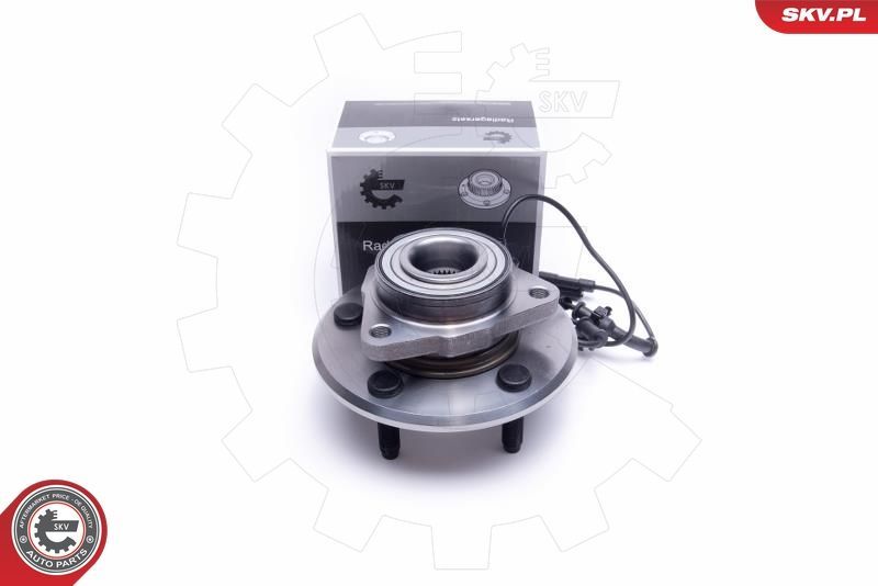 SKV 29SKV308