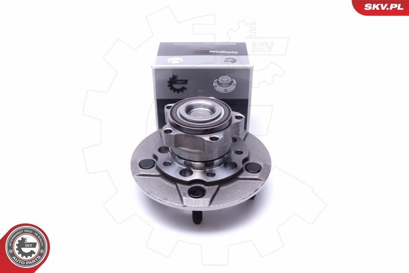SKV 29SKV313
