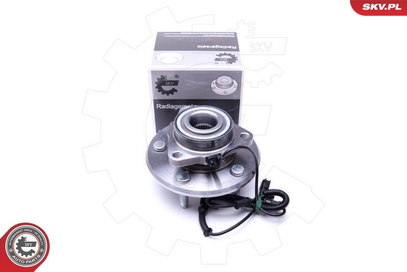SKV 29SKV318