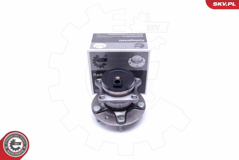 SKV 29SKV379