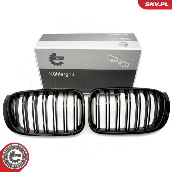 SKV 66SKV255 - Mriežka chladiča -