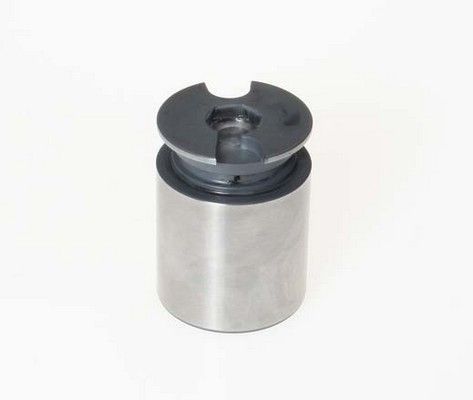 Brembo F PI 124 -  -