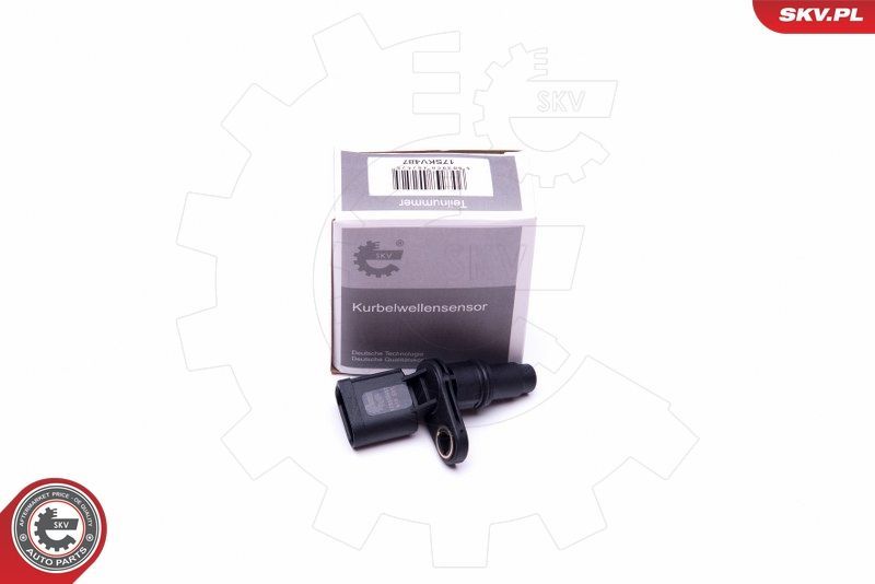SKV 17SKV487