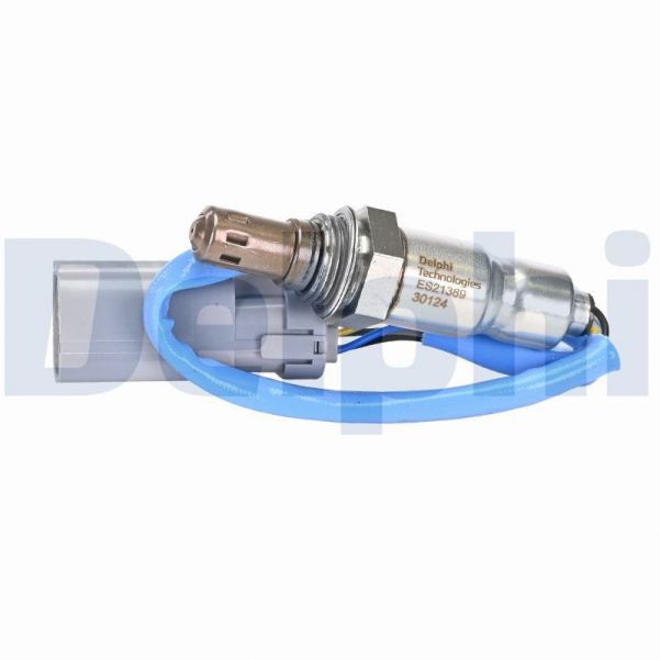 Delphi ES21389-12B1