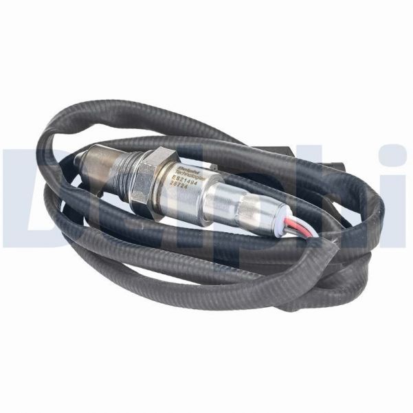 Delphi ES21494-12B1