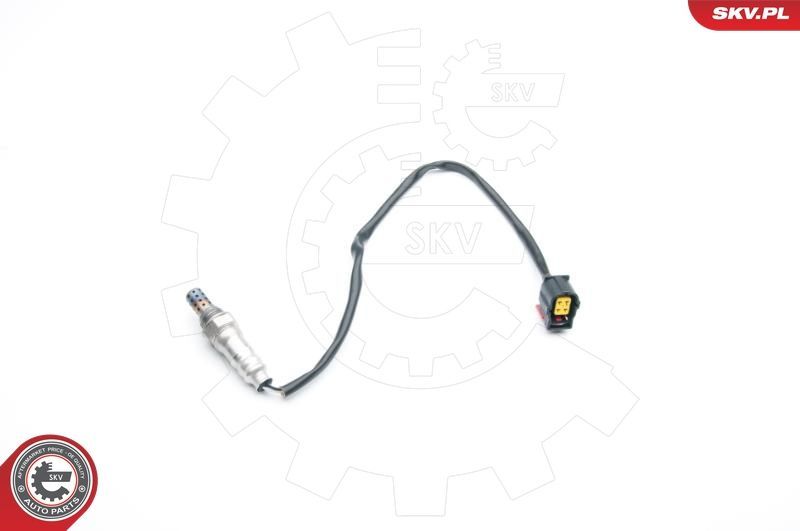 SKV 09SKV723