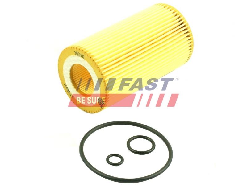Fast FT38011