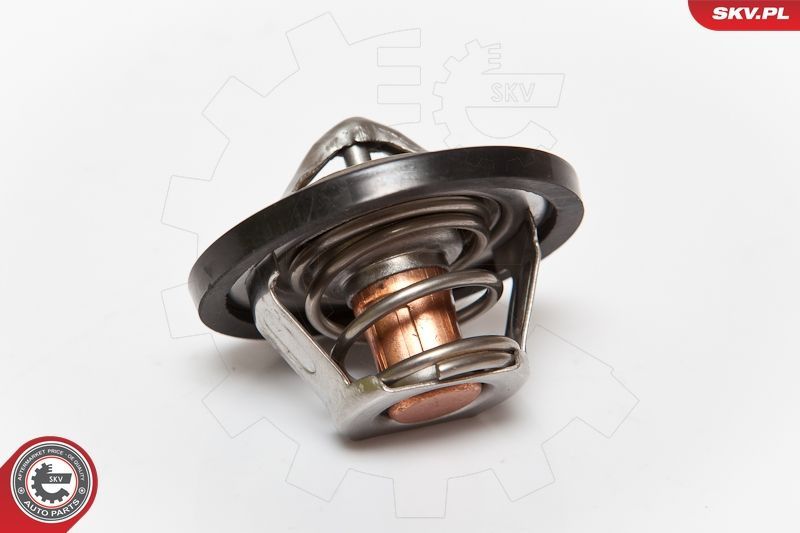 SKV 20SKV015