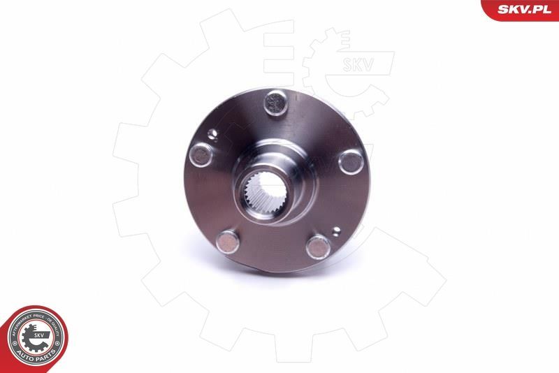 SKV 29SKV481