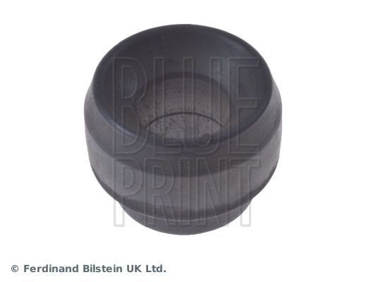 Blue Print ADJ138049