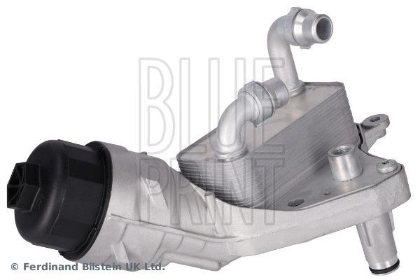 Blue Print ADBP210181 -  -