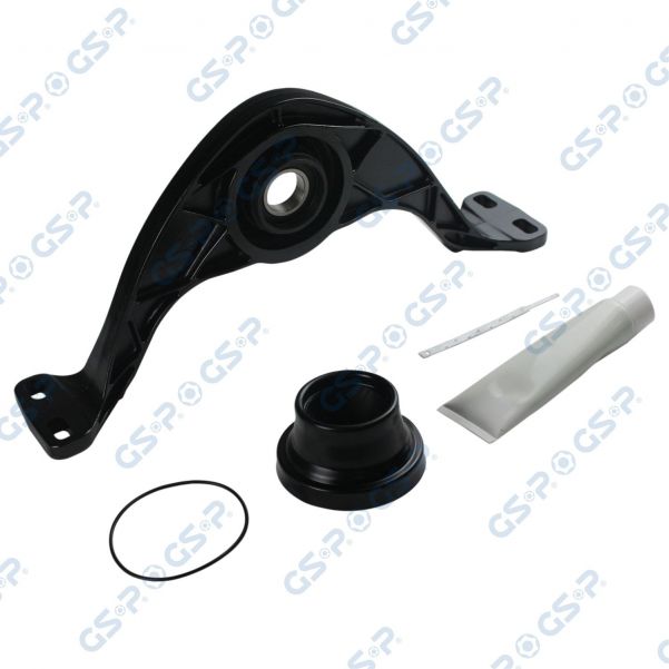 GSP 538695S -  -