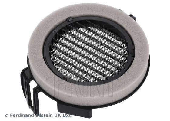 Blue Print ADBP250097 -  -