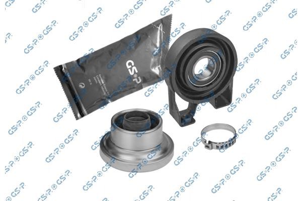GSP 538694S -  -