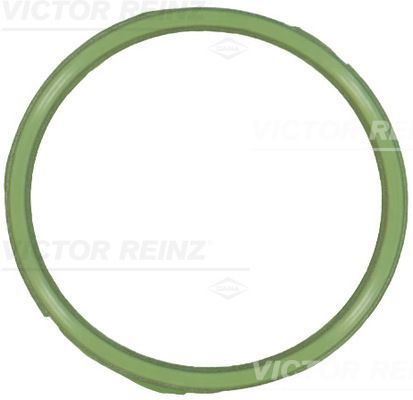 Reinz 71-18339-00 - Tesnenie sacieho potrubia -