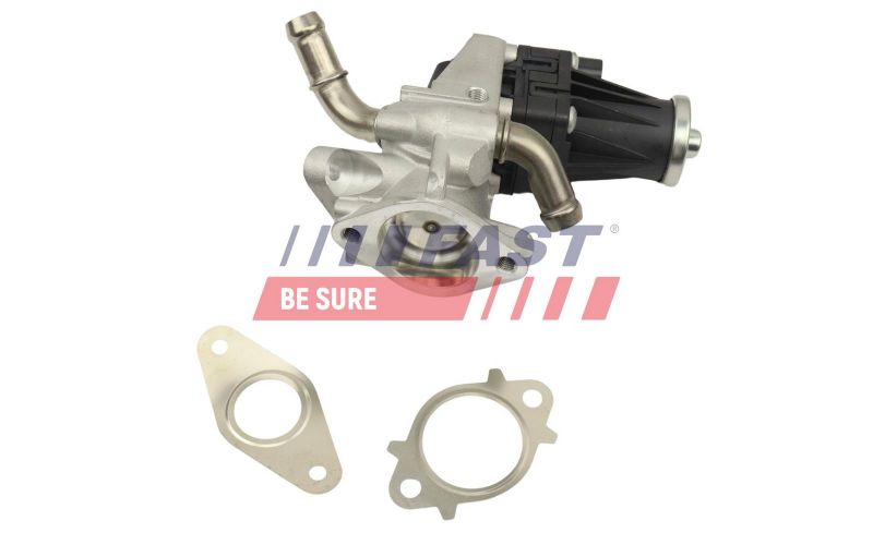Fast FT10061 - Ventil AGR/EGR -