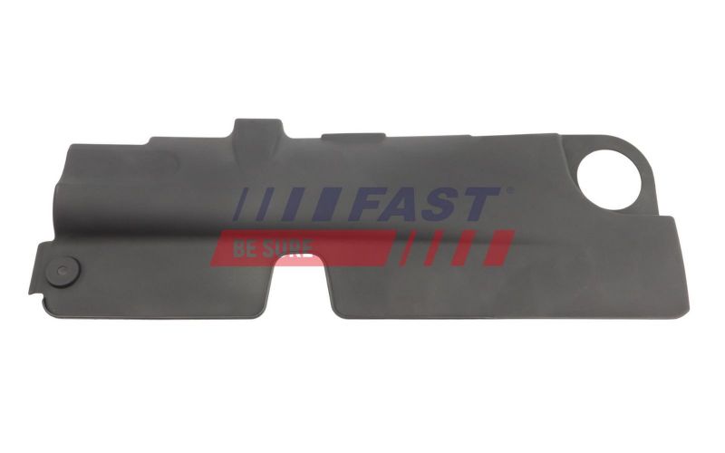 Fast FT10095 -  -