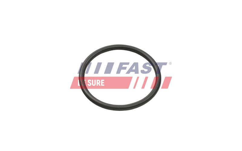Fast FT49935 -  -