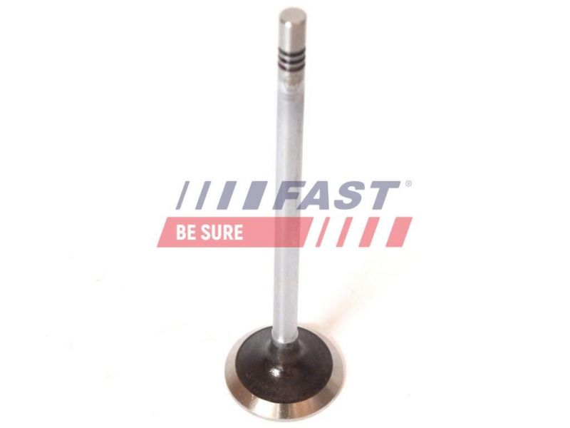 Fast FT50068 -  -