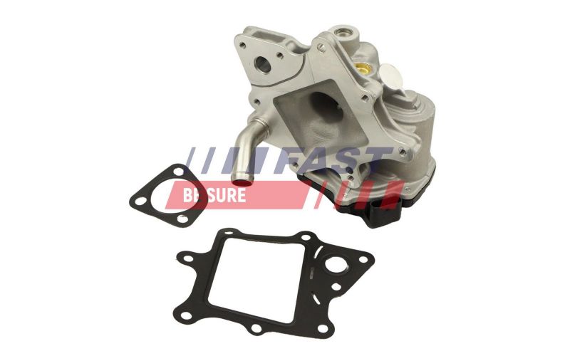 Fast FT60231 - Ventil AGR/EGR -