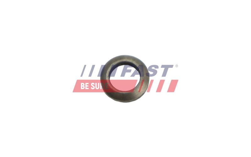 Fast FT53851 -  -