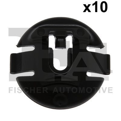 FA1 11-10036.10 -  -